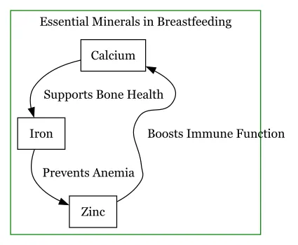 Breastfeeding nutrition